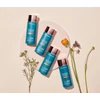 Kép 4/4 - Sunforgettable® Total Protection™ Face Shield Flex SPF 50 - light